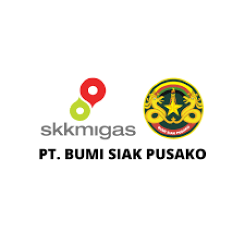 Kelalaian PT BSP Tidak Bisa Ditolerir Lagi, JMPI Minta SKK Migas Lakukan Audit Secara Menyeluruh