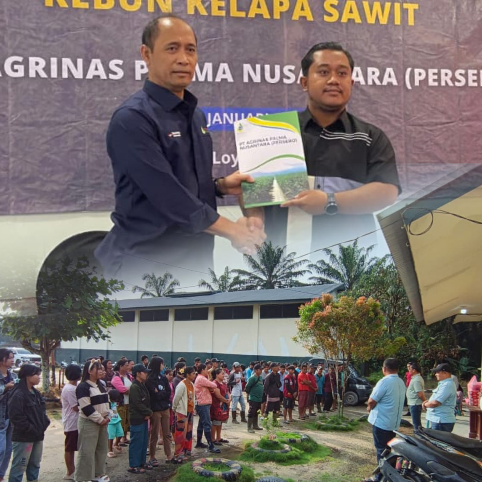 Bertahan di Tengah Seleksi Ketat Agrinas: Eks Lahan PT Ayau 1.446,40 Hektare Resmi Dipegang RJM, Kontrak KSO Diperpanjang