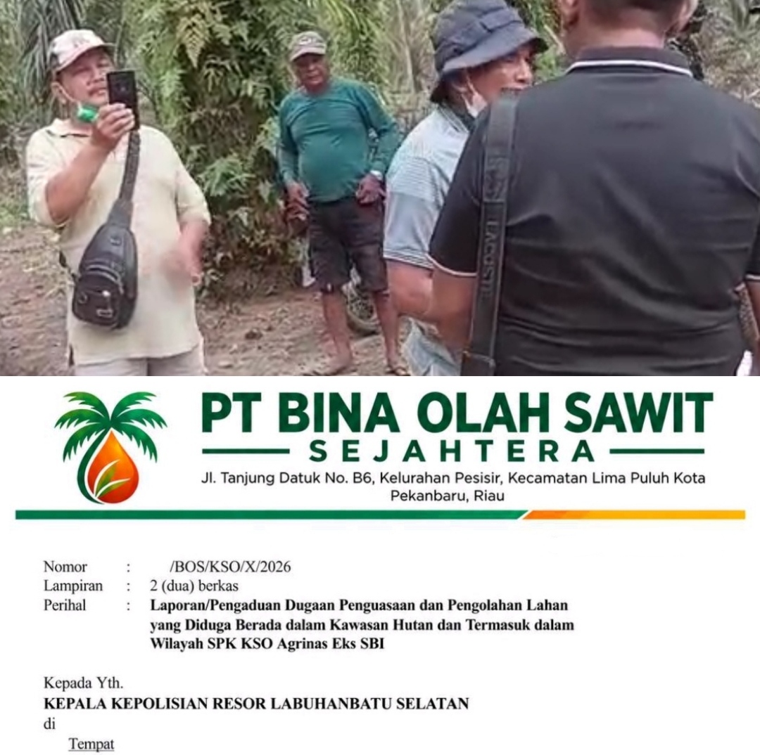 7 Mafia Diduga Penguasa Lahan Kawasan Hutan Eks PT SBI Dilaporkan Ke Polres Labusel: Sprint Turun, Kapolres Segera Panggil
