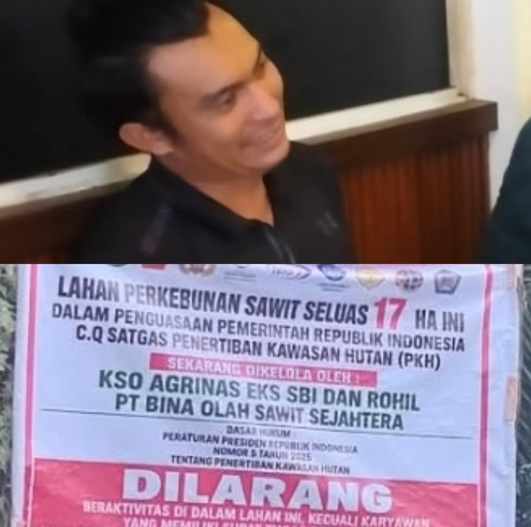 Mengaku Punya Kebun Sawit Dalam Areal Diduga Kawasan Hutan, Kris Naibaho: Saya Pembeli, Bukan Penggarap